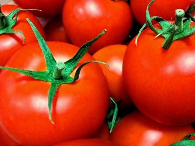 トマト抗酸化作用