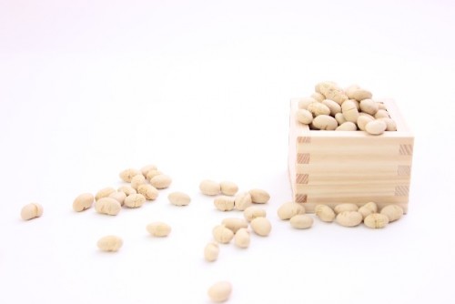 脳の神経伝達物質レシチンを生成する大豆食品
