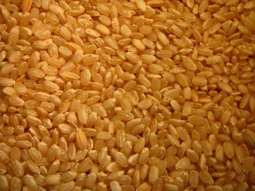 玄米は便秘解消に役立つ食物繊維が白米の5倍