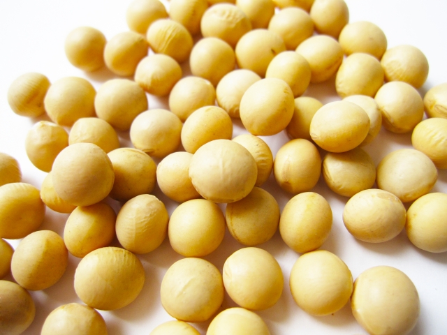 大豆を食べると腸内環境が改善して代謝がアップ